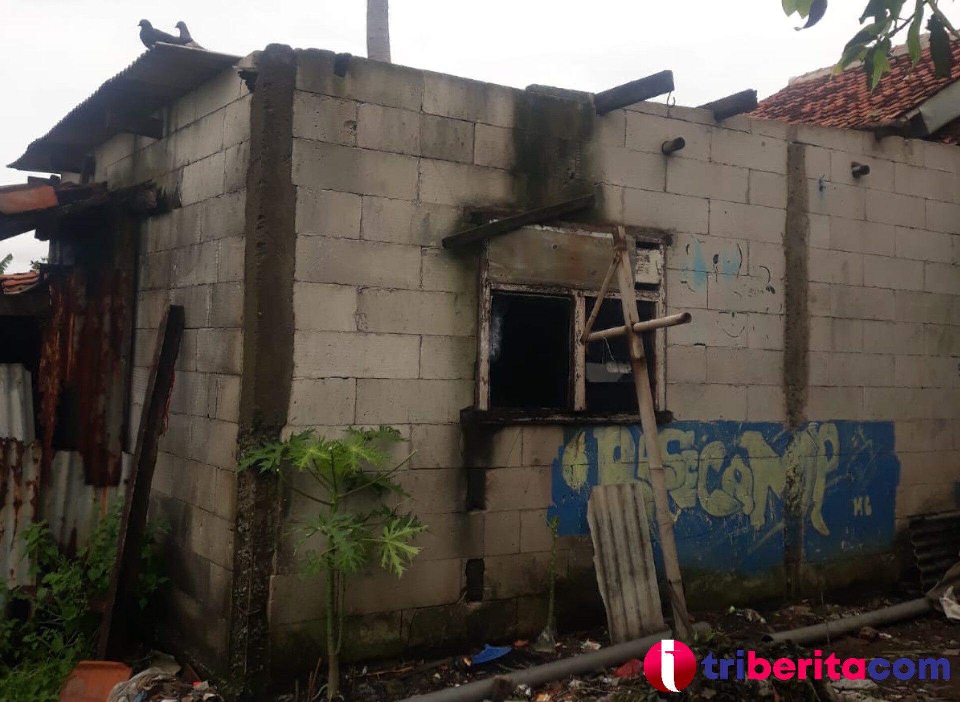 Kesaksian warga detik-detik peristiwa angin puting beliung yang melanda Kampung Tenjo Laut, RT 004/002, Desa Sukamantri, Kecamatan Tambelang, Kabupaten Bekasi Jawa Barat, pada Jum'at (10/02/2023) sekira pukul 19.15 WIB malam. (Foto : Jeje)