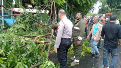 Petugas kepolisian, DLHK Kota Bekasi, Tagana dan beserta masyarakat setempat bergegas mengevakuasi batang dan ranting yang berserakan di jalan.