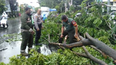 Petugas kepolisian, DLHK Kota Bekasi, Tagana dan beserta masyarakat setempat bergegas mengevakuasi batang dan ranting yang berserakan di jalan.