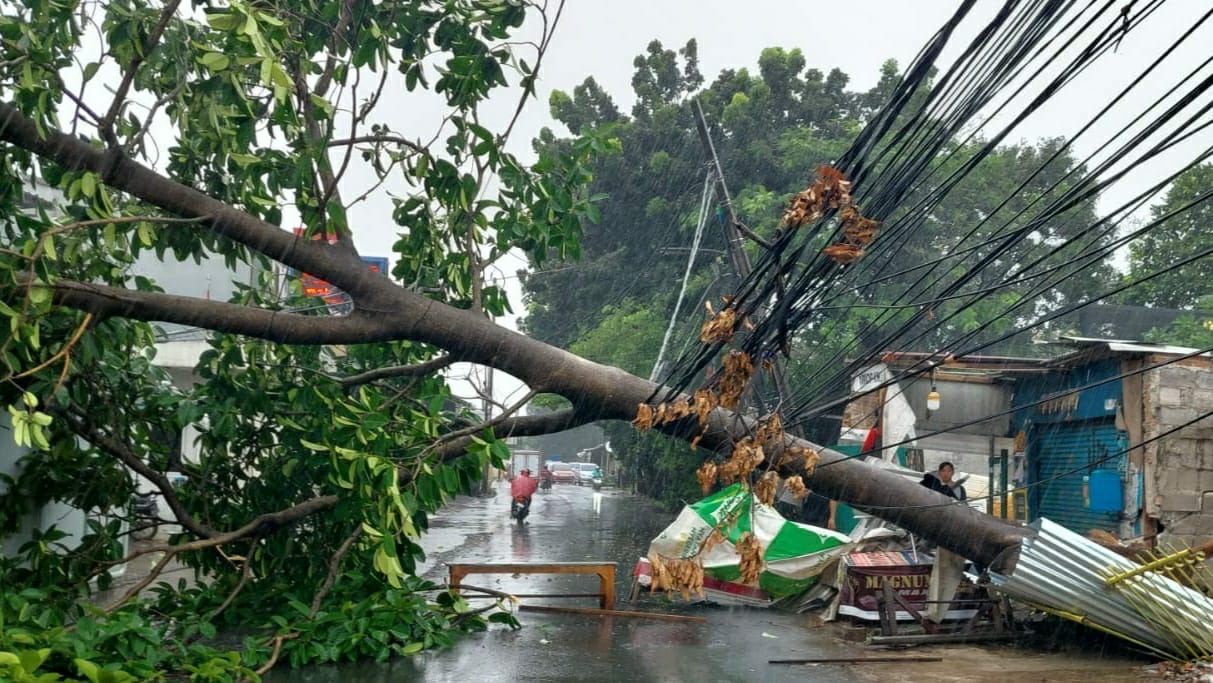 Terjadinya hujan deras dan angin kencang mengakibatkan pohon tumbang di Jatiasih di Jalan Ratna.