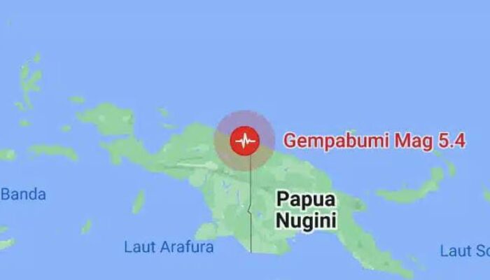 Gempa Magnitudo 5,4 Guncang Jayapura, Beberapa Bangunan Hancur