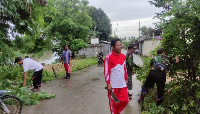 Jumsih, Dianggap Membahayakan Pengguna Jalan, Pemdes di Kabupaten Bekasi Gotong Royong Papas Pohon Melintang