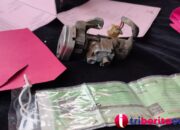 Kepergok Warga, Terduga Maling Motor di Bekasi Todongkan Pistol Kearah Korban