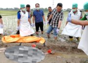 Geger, Ditemukan Mayat Laki-laki Dipersawahan, Terdapat Luka di Dada dan Sebilah Golok