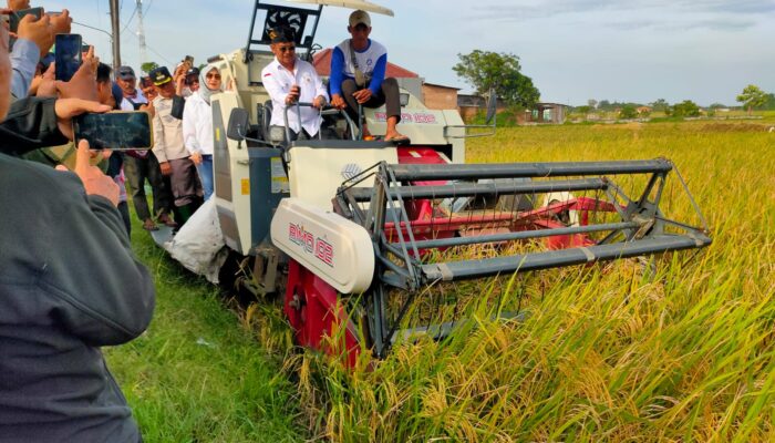 Murka, Petani di Kabupaten Bekasi sebut Janji Menteri Pertanian Palsu, seret Nama Asda 1