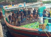 Tim Gabungan BNN, Amankan Ratusan Kg Sabu dari Iran