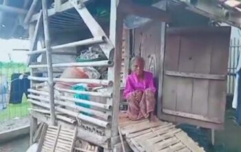Nestapa, Seorang Nenek di Karawang Tinggal di Gubug Bekas Kandang Kambing Selama Dua Tahun