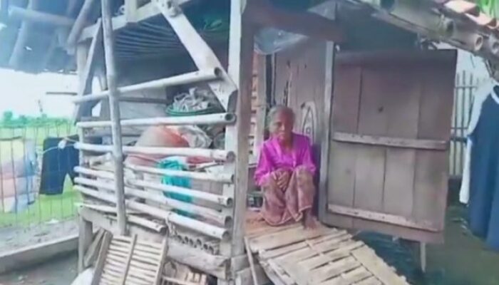 Nestapa, Seorang Nenek di Karawang Tinggal di Gubug Bekas Kandang Kambing Selama Dua Tahun