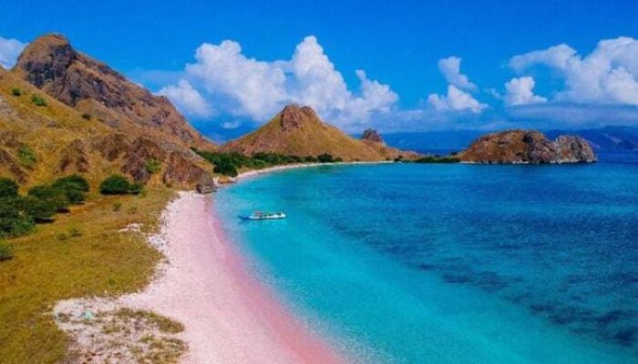 Rekomendasi 5 Wisata Pantai Pink di Indonesia ala Sand Beach Bahamas