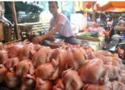 Waduh ! Hari ke 3 Bulan Ramadhan, Harga Daging Ayam di Pasar Kranggot Cilegon Terus Merangkak Naik