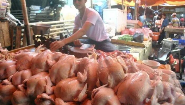Waduh ! Hari ke 3 Bulan Ramadhan, Harga Daging Ayam di Pasar Kranggot Cilegon Terus Merangkak Naik