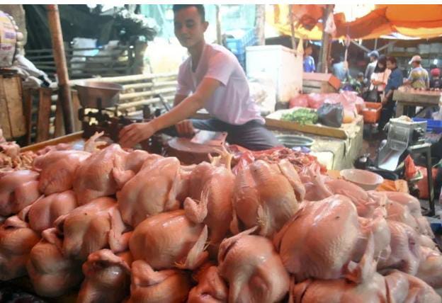Salah satu pedagang ayam potong di Pasar Kranggot, Kota Cilegon. (Foto: Daeng Yusvin)