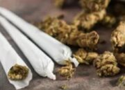 NU Jaringan Pemasok Ganja di Pandeglang Banten Diringkus, Polisi Amankan 709,15 Gram Ganja Siap Jual