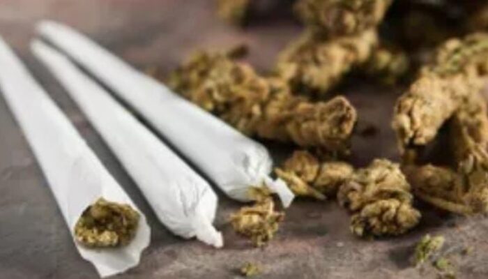 NU Jaringan Pemasok Ganja di Pandeglang Banten Diringkus, Polisi Amankan 709,15 Gram Ganja Siap Jual