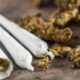 Ilustrasi Jenis narkotika lain yang sering disalahgunakan di Indonesia ialah ganja, atau dikenal dengan nama kanabis atau marijuana. Ganja adalah narkotika yang berasal dari tanaman Cannabis sativa, dan bisa menimbulkan efek samping berikut, yaitu mulut dan tenggorokan terasa sangat kering, sulit mengingat, mafsu makan meningkat, euforia atau rasa senang berlebih, denyut nadi dan jantung lebih cepat.