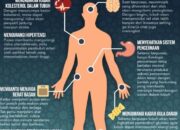 Beberapa Manfaat Berpuasa Bagi Kesehatan Tubuh