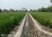 Anggaran Fantastis, Tokoh Masyarakat: Proyek Irigasi Petani di Kabupaten Bekasi Bobrok