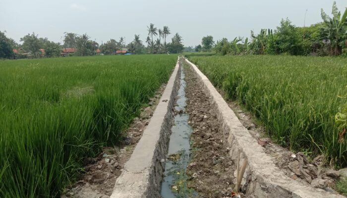 Anggaran Fantastis, Tokoh Masyarakat: Proyek Irigasi Petani di Kabupaten Bekasi Bobrok