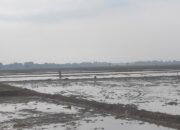 Pembagian Bantuan Tidak Merata Petani Cabangbungin Cari Modal Lagi Buat Garap Sawah Yang Rusak Akibat Banjir