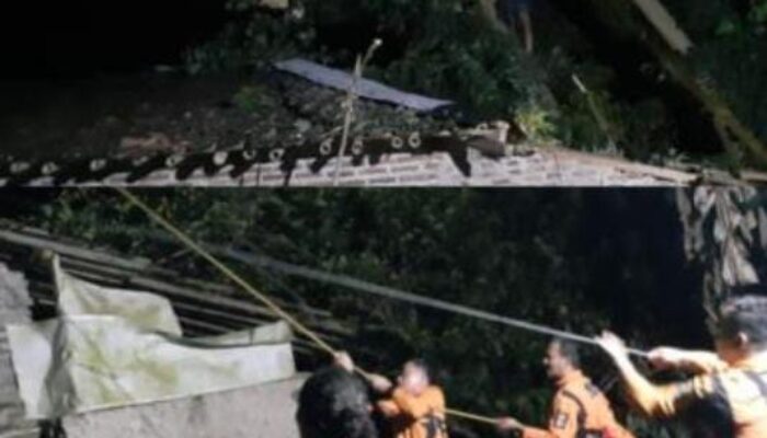 Fenomena Tanah Bergerak Kembali Terjadi, 3 Rumah Warga Tertimpa Pohon di Pandeglang Banten