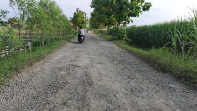 Jalan rusak di Pedukuhan Kajongan, Desa Kesadikan Kecamatan Tarub (foto; Abdul Kholilulloh) Selasa (25/04/2023)