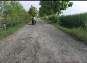 MIRIS ! Momen Lebaran Warga Keluhkan Infrastruktur Buruk di Dua Kecamatan di Kabupaten Tegal