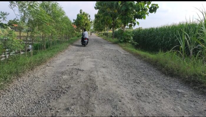 MIRIS ! Momen Lebaran Warga Keluhkan Infrastruktur Buruk di Dua Kecamatan di Kabupaten Tegal