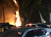 Heboh, Pohon Tua di Parung Bogor Terbakar, Warga Disekitar Panik