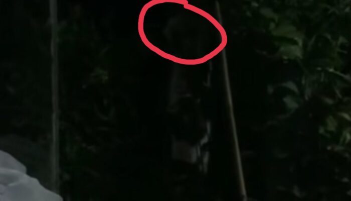 Pocong Muncul di Rumah Warga di Kabupaten Bekasi, Netizen: Tembak Pake Senapan Angin Tuman