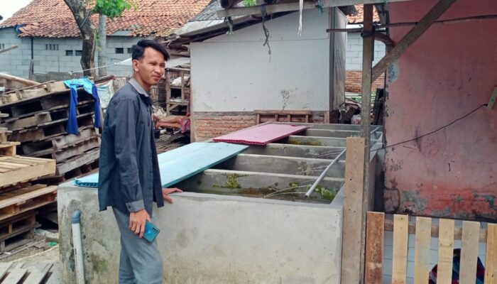 Pemberdayaan Ikan Hias Diduga Kuat di Korupsi Oleh Oknum Pemerintah Desa Karangrahayu, kok bisa?