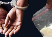 Lagi Pesta Sabu Dengan Janda, Residivis Pengedar Sabu Ditelikung Polisi