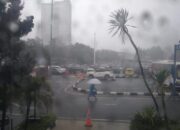 BMKG Prediksi Cuaca Ekstrem di Beberapa Kota, Ini Daftarnya