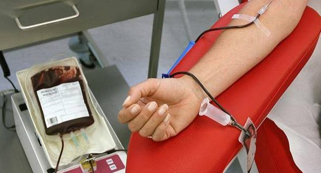 Ilustrasi Donor Darah. (Foto: Sumber Halodoc)