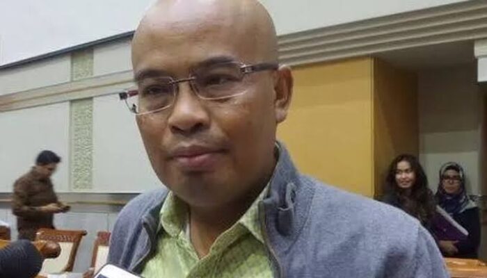 Kabar Duka, Wakil Ketua DPR RI Desmon Mahesa Tutup Usia