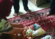 Tega, Bayi Mungil Ditemukan Warga Cikarang Tergeletak di Semak-semak