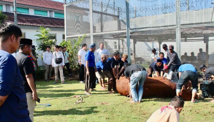 Momen Idul Adha Berbagi, Lapas Kelas IIA Cikarang sumbang 11 Ekor Sapi dan 11 Ekor Kambing