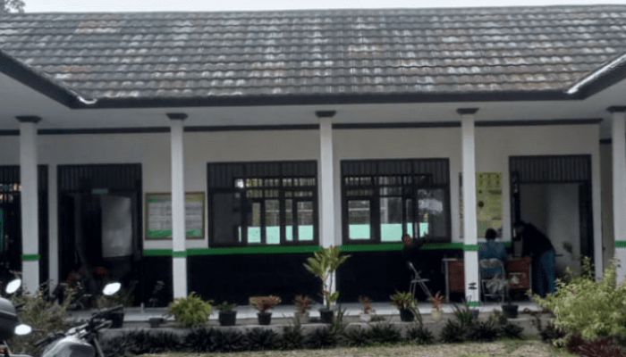 Petani Cabangbungin Menjerit Kekeringan Air Dan Serangan Hama Padi