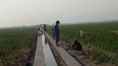 Ketua kelompok P3A Sukaindah Jaya Sentosa, Santo (kanan) beserta warga sedang mengerjakan Program Percepatan Peningakatan Tata Guna Air Irigasi (P3 TGAI ) BBWS Citarum Tahun Anggaran 2023 yang terletak di Desa Sukaindah, Kecamatan Sukakarya, Kabupaten Bekasi, pada Selasa 6 Juni 2023. (Foto: Muh. Bakhtiar)