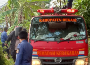 Sijago Merah, Meludeskan Satu Rumah Di Pemukiman Padat Penduduk Di Kampung Pule, Desa Karang Anyar.