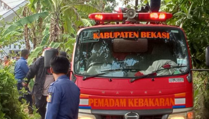 Sijago Merah, Meludeskan Satu Rumah Di Pemukiman Padat Penduduk Di Kampung Pule, Desa Karang Anyar.