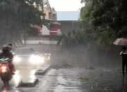 BMKG Beri Peringatan Dini Hujan Sedang dan Lebat Disertai Petir