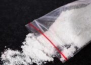 Asik Pesta Narkoba, PNS, Polisi, Wartawan, Kades Dan Dua Wanita Digrebek Polisi