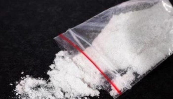 Asik Pesta Narkoba, PNS, Polisi, Wartawan, Kades Dan Dua Wanita Digrebek Polisi