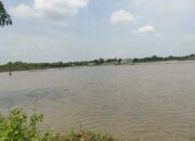 Hari ini, BMKG Prediksi Sebagian Besar Wilayah di Indonesia Cerah Berawan