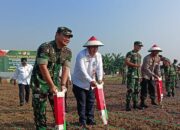 Pangdam Jaya/Jayakarta dan Forkopimda Kabupaten Bekasi Lakukan Penanaman Jagung di Cibitung