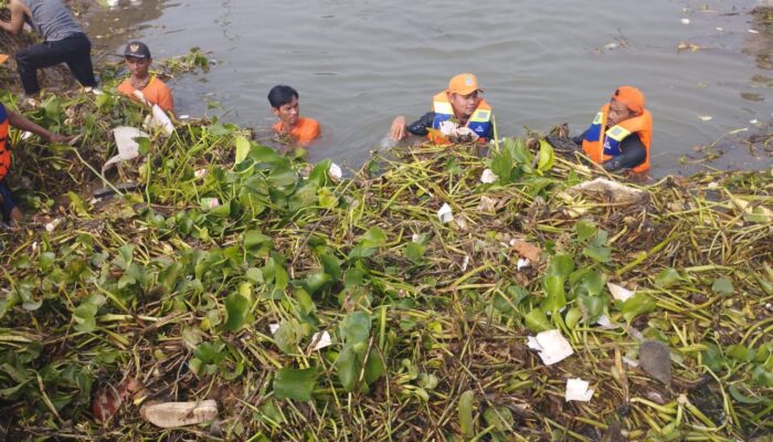 100 Ton Sampah di Kali Ciherang Berhasil Diangkut, DLH Kabupaten Bekasi Kerahkan Alat Berat dan 14 Truk