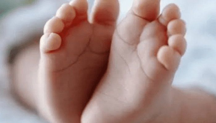 Ayah Simpan Anak di Freezer, Polisi Belum Temukan Adanya Unsur Pidana