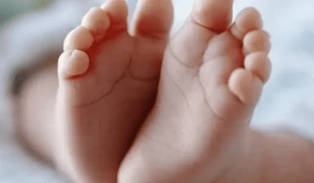 Ilustrasi (foto: istimewa)