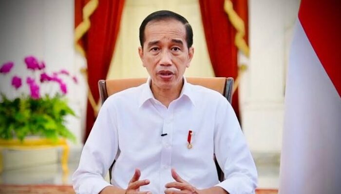 Presiden Jokowi Tegaskan Agar Pemda Dapat Realisasikan Anggaran Dengan Baik