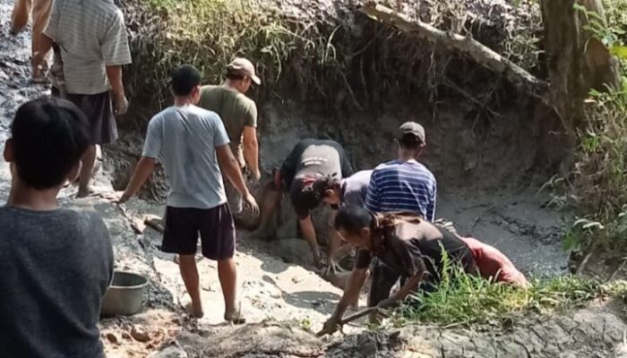 Nestapa, Kemarau Panjang di Pedalaman Cibarusah Bekasi